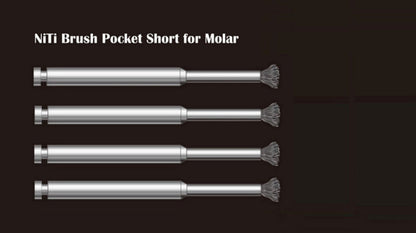 004_NiTi Brush Pocket short for molar